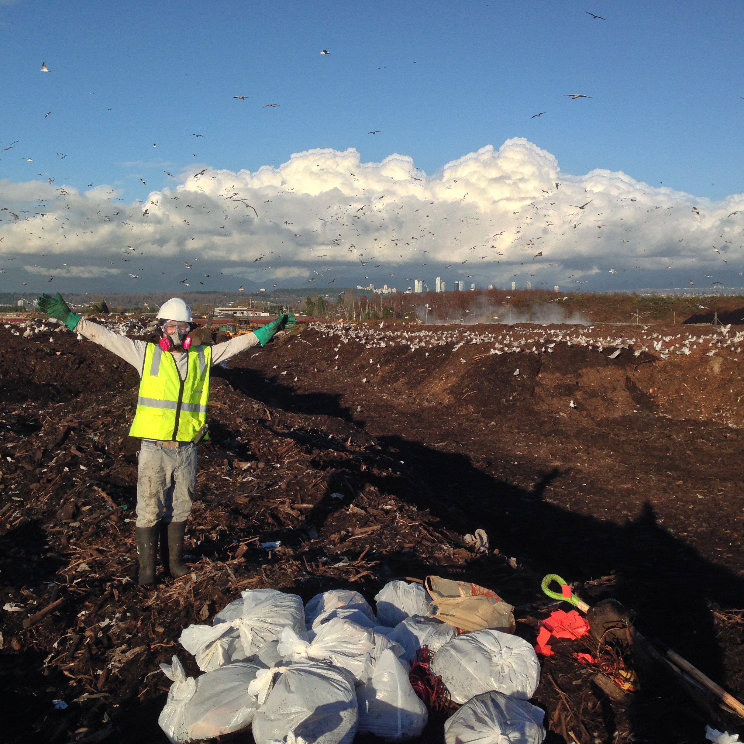 Compostability